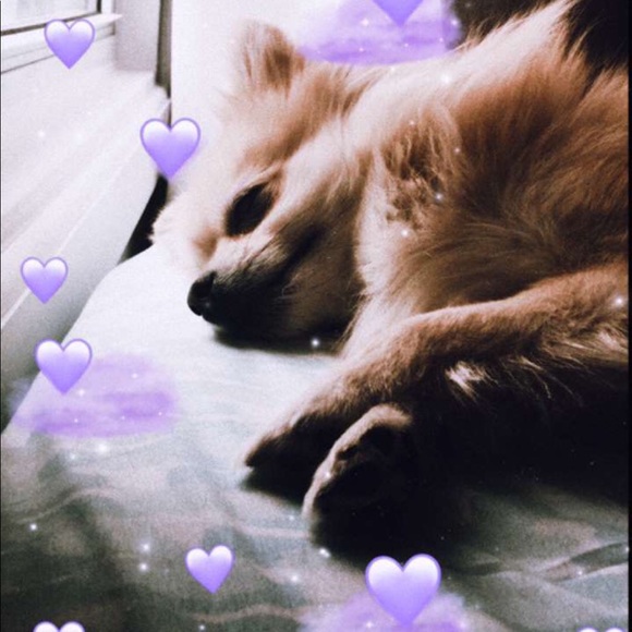 Meet your Posher, Ana - Picture 1 of 1